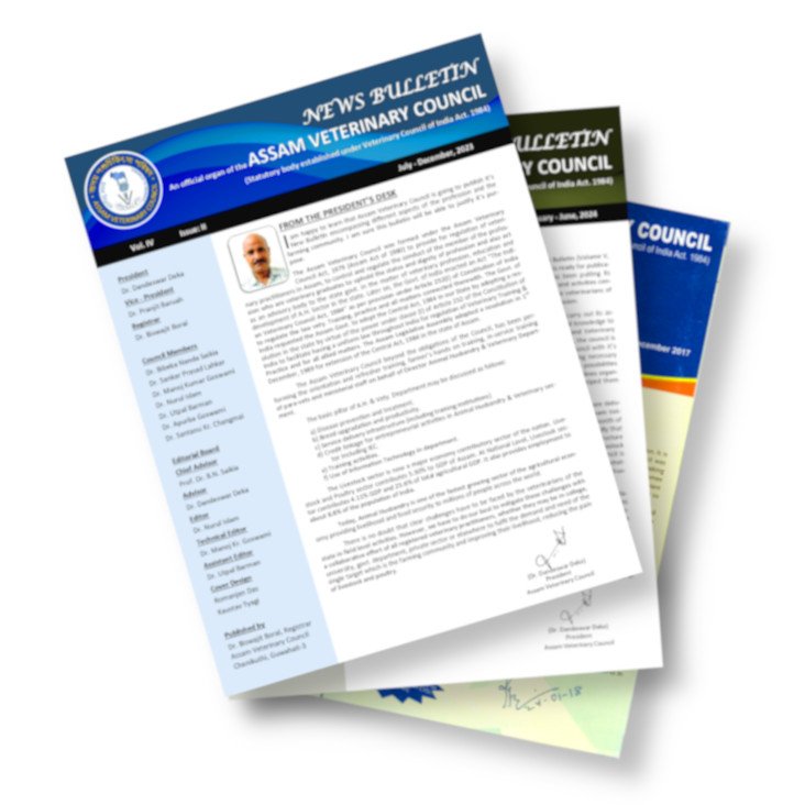 newsbulletin_collection